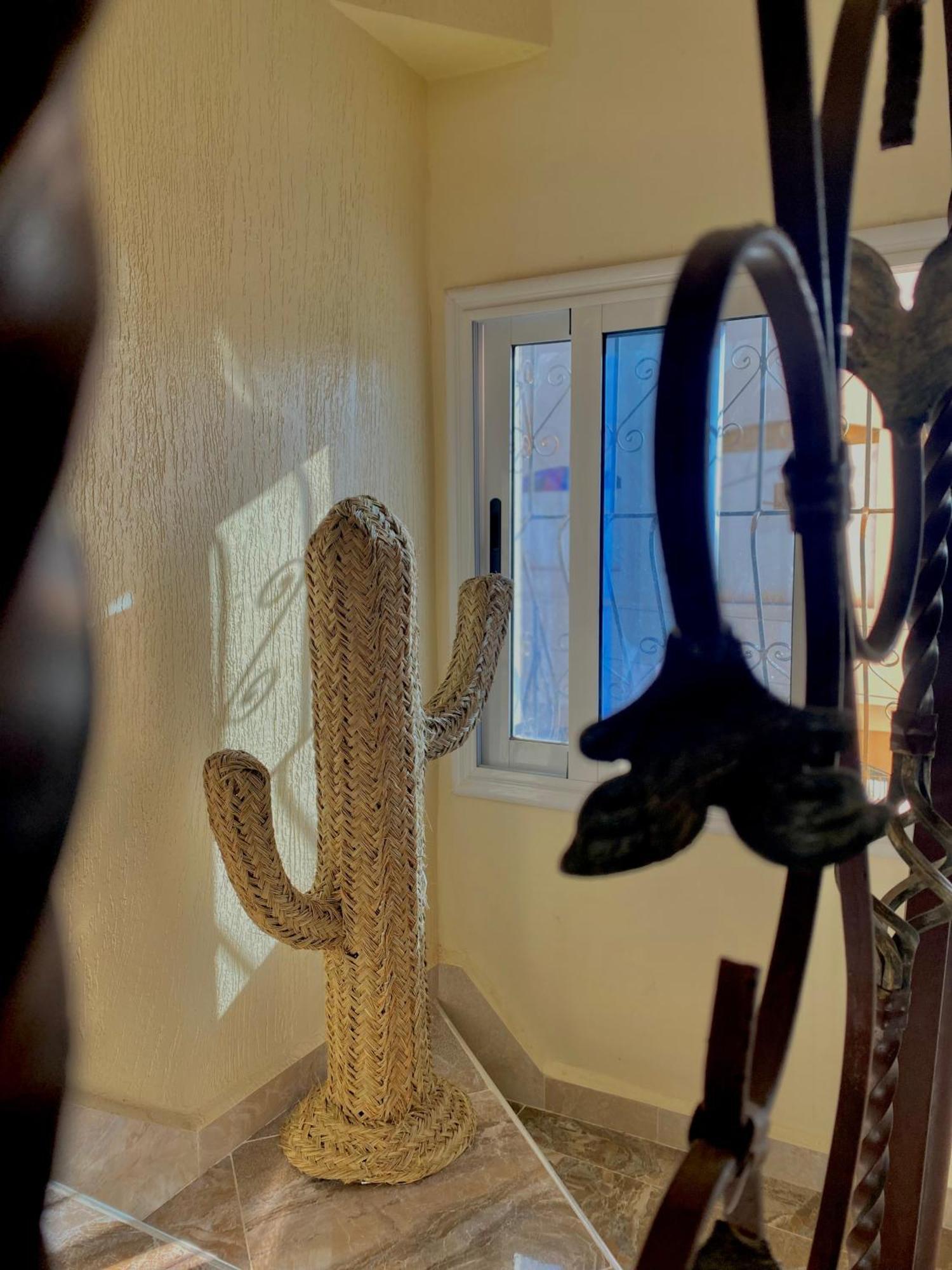 Mamo Surf Morocco Hostel Tamraght Εξωτερικό φωτογραφία